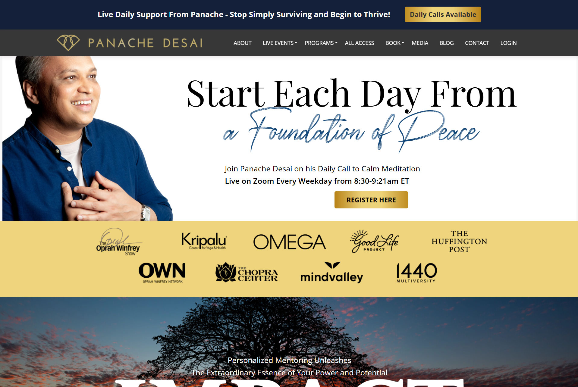 Panache Desai website
